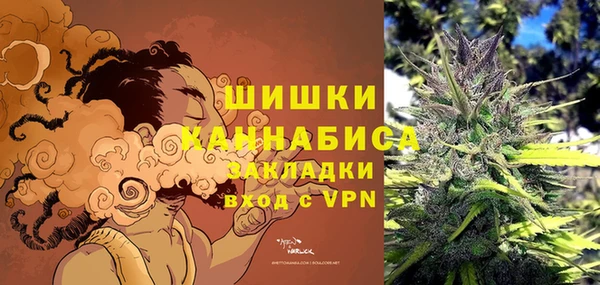 дурь Верея