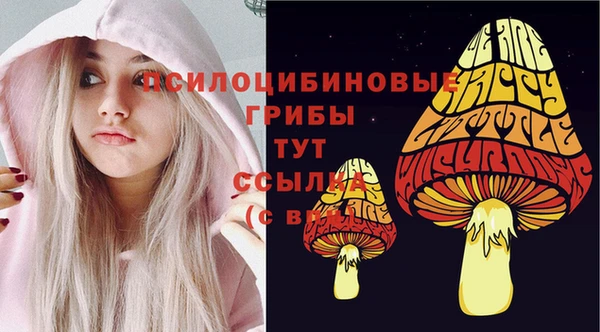 скорость Верхний Тагил