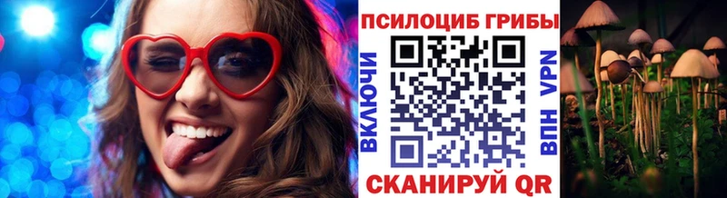 купить наркотик Новоржев Псилоцибиновые грибы GOLDEN TEACHER